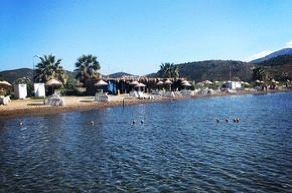 Bild Vom Strand und Meer