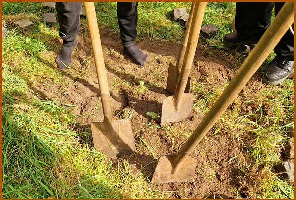 Unsere Ernte im Herbst