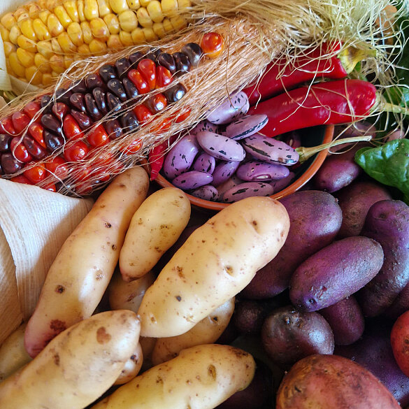 Gartenarbeit macht wirklich Spa&szlig;