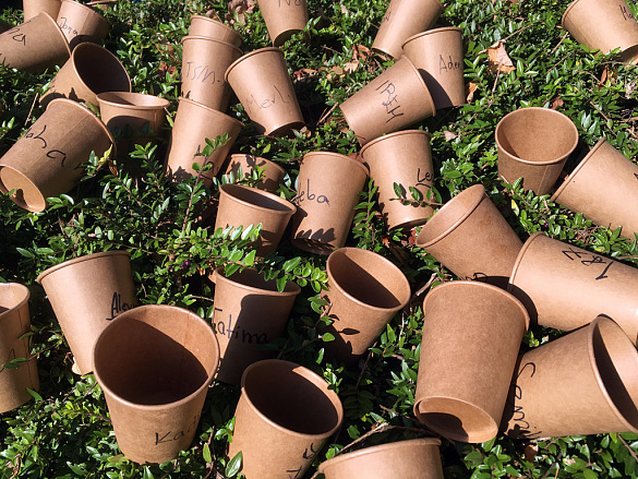 Weitere Impressionen vom Sponsorenlauf 5