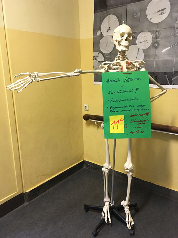 Wegweiser zur NaWi-Show